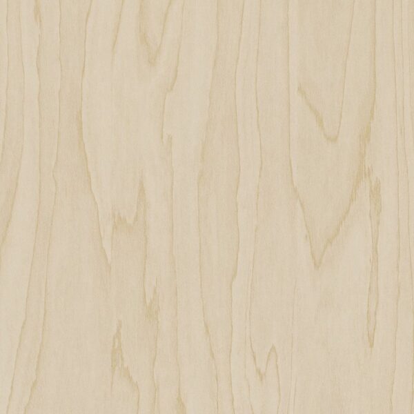 Gold Pale Birch Cover Styl CT19 madera